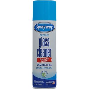 Sprayway Glass Cleaner - 19 Oz